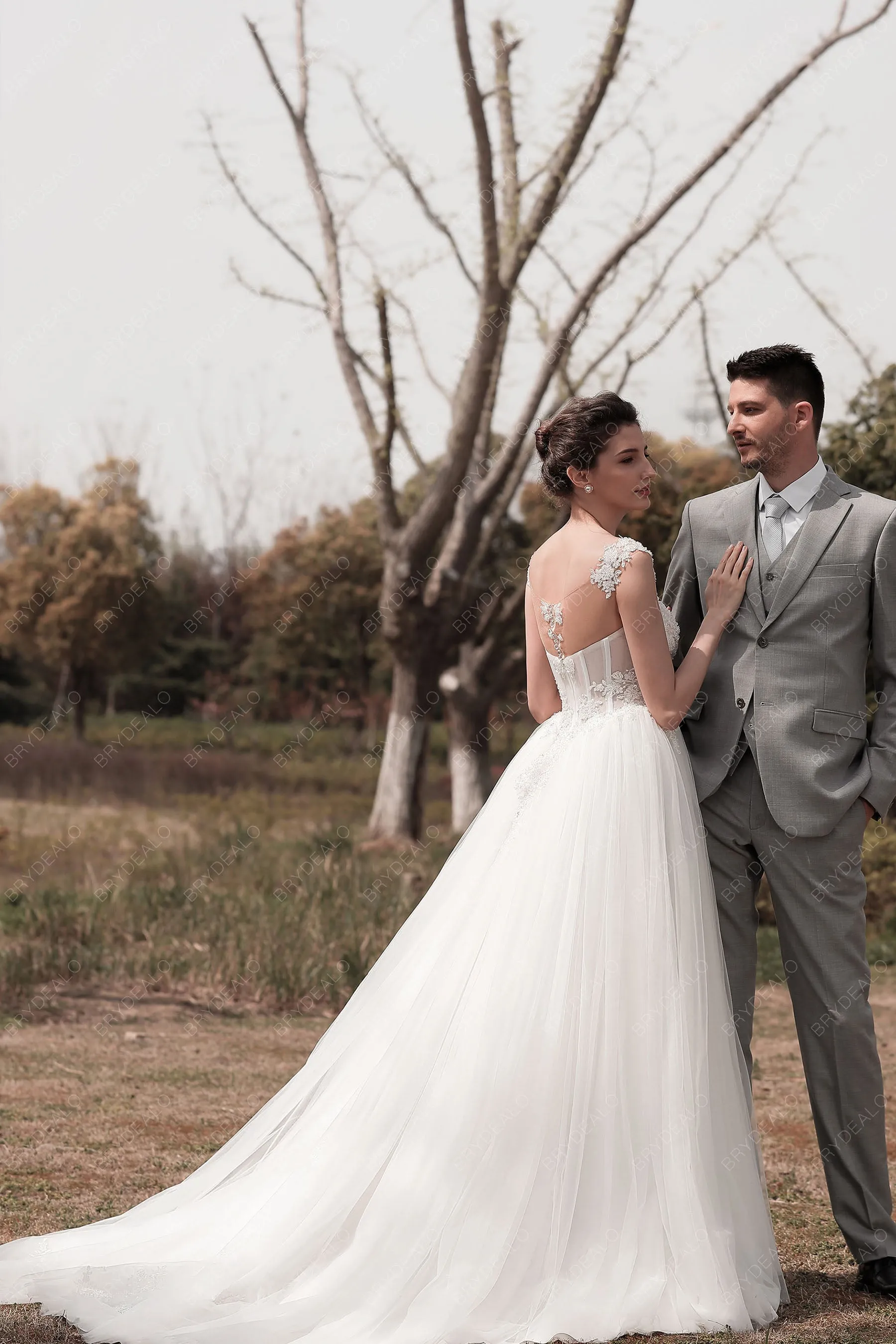 Cap Sleeve Beaded Lace Puffy A-line Wedding Dress