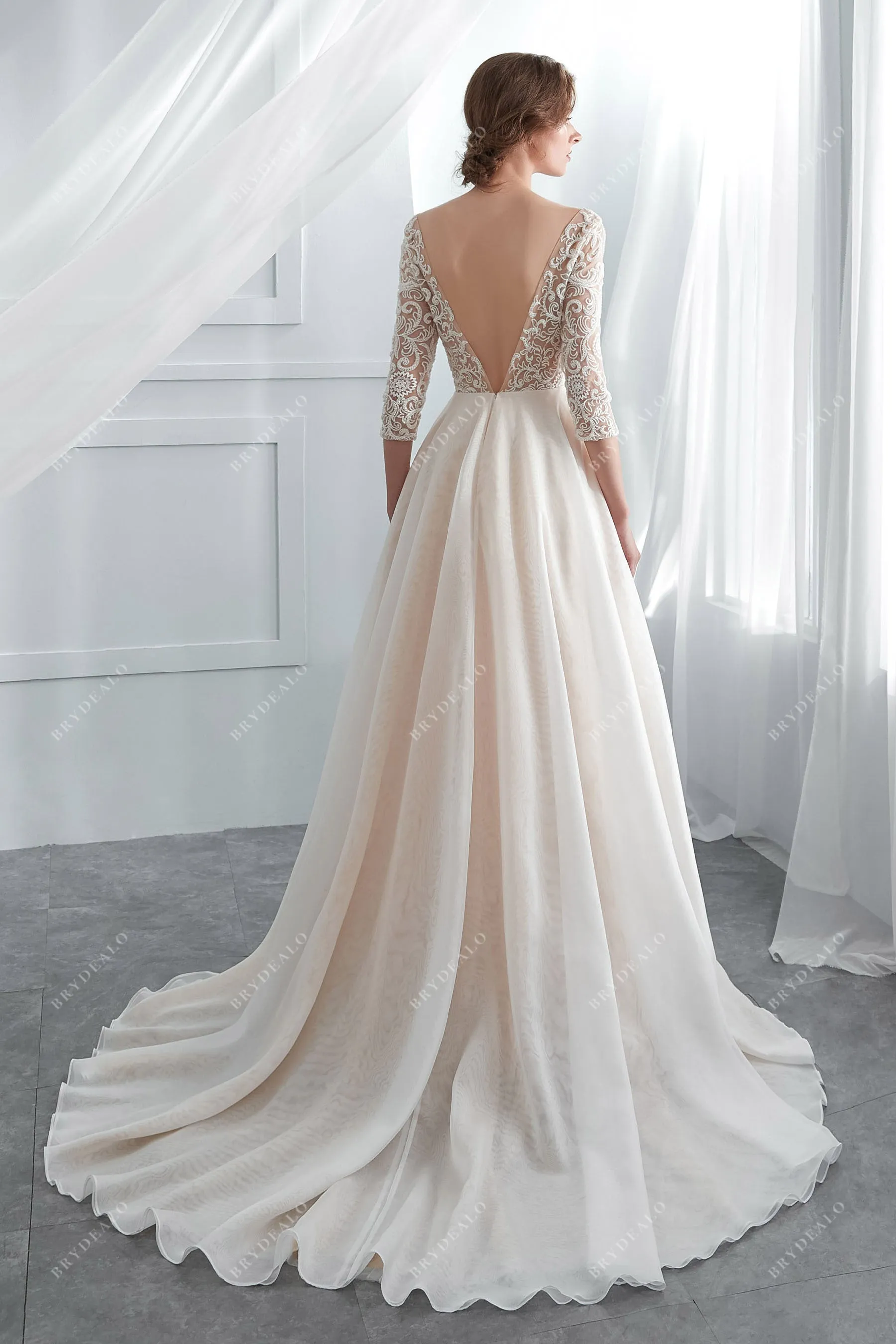 Champagne Illusion 3/4 Sleeve Lace Wedding Dress